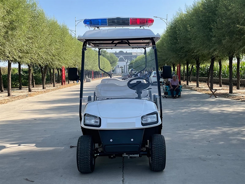 高爾夫球車(chē)(正2排4坐)